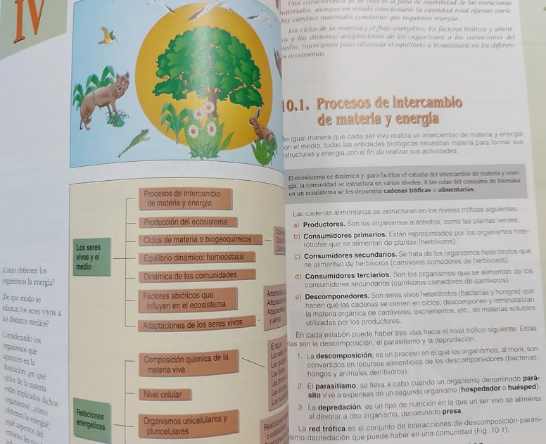 Libro: Biología y Geología 1 - Bachillerato por Rosario Lunar