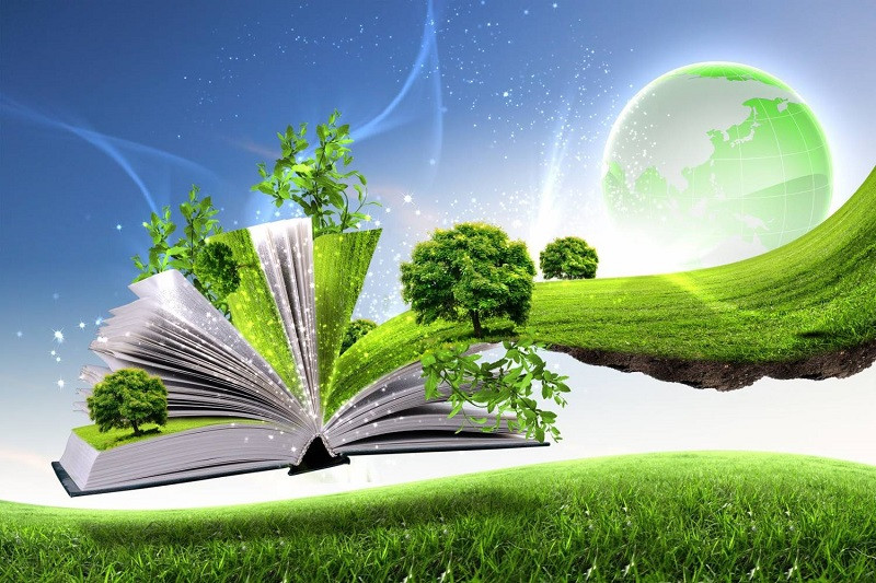 Libro: Ciencias de La Tierra y del Medio Ambiente 2 - Bachillerato por Diodora Calvo Aldea