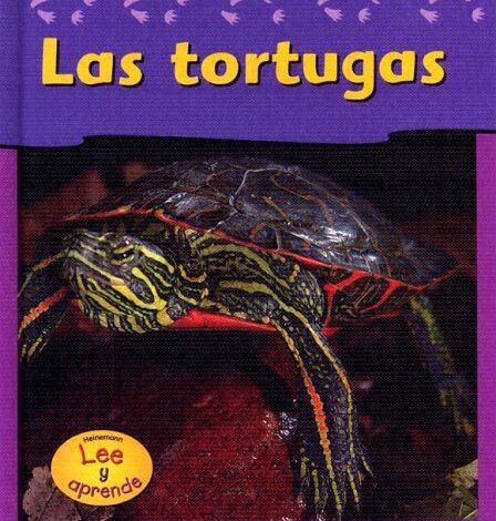 Libro: Las Tortugas: Lee y aprende por Jennifer Blizin Gillis