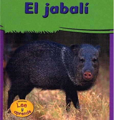 Libro: El Jabalí: Lee y aprende por Lola M. Schaefer