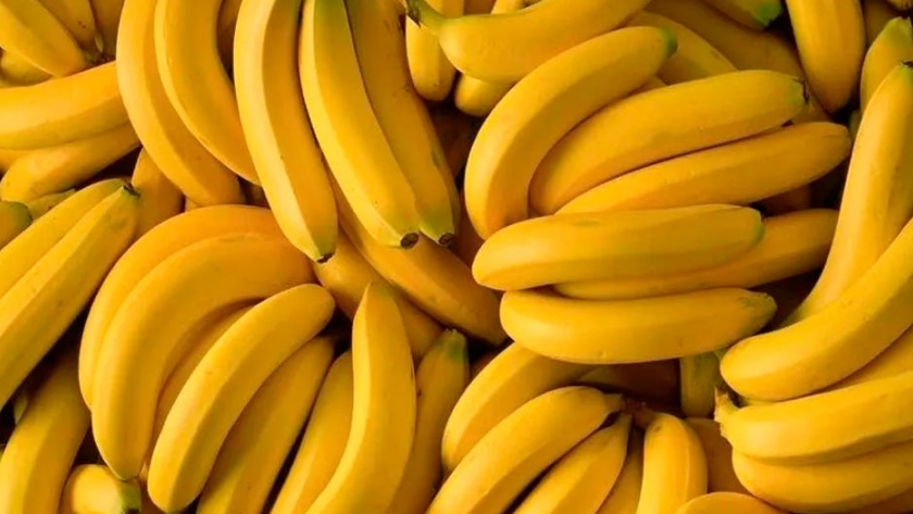 Libro: El Plátano/ Banana por Louise Spilsbury