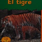 Libro: El Tigre / Tiger Lee y aprende por Patricia Whitehouse