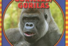 Libro: Gorilas, Animales que veo en el zoológico por Kathleen Pohl