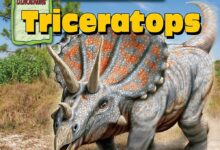Libro: Triceratops/Triceratops por Joanne Mattern
