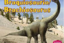 Libro: Braquiosaurio/Brachiosaurus por Carol K. Lindeen