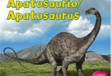Libro: Apatosaurio/ Apatosaurus por Carol K. Lindeen