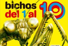 Libro: Bichos del 1 al 10 por Carla Baredes