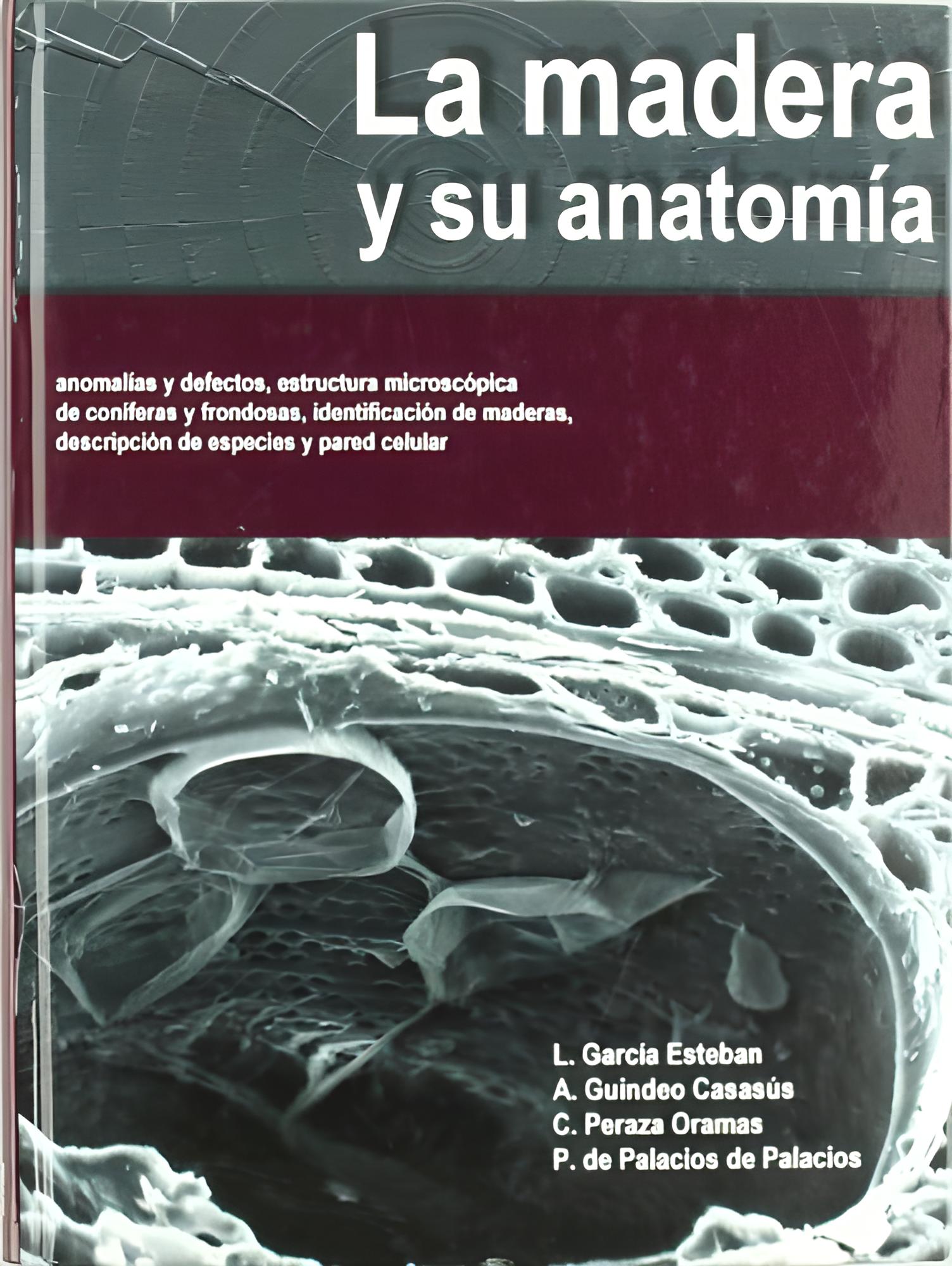 Libro La madera y su Anatomía por L. Garía Esteban