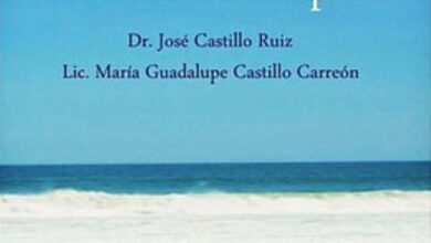 Libro: Teoterapia: La fe como terapia por José de Jesús Castillo Ruiz