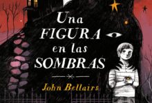 Libro: Una Figura en las Sombras por John Bellairs