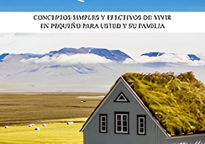 Libro Vivir en pequeño Conceptos Simples y Efectivos de Vivir en Pequeño para usted y su Familia, por Andrew Berger